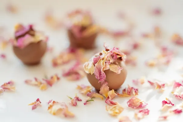 Bet24star Kasyno Aplikacja Android/iOS